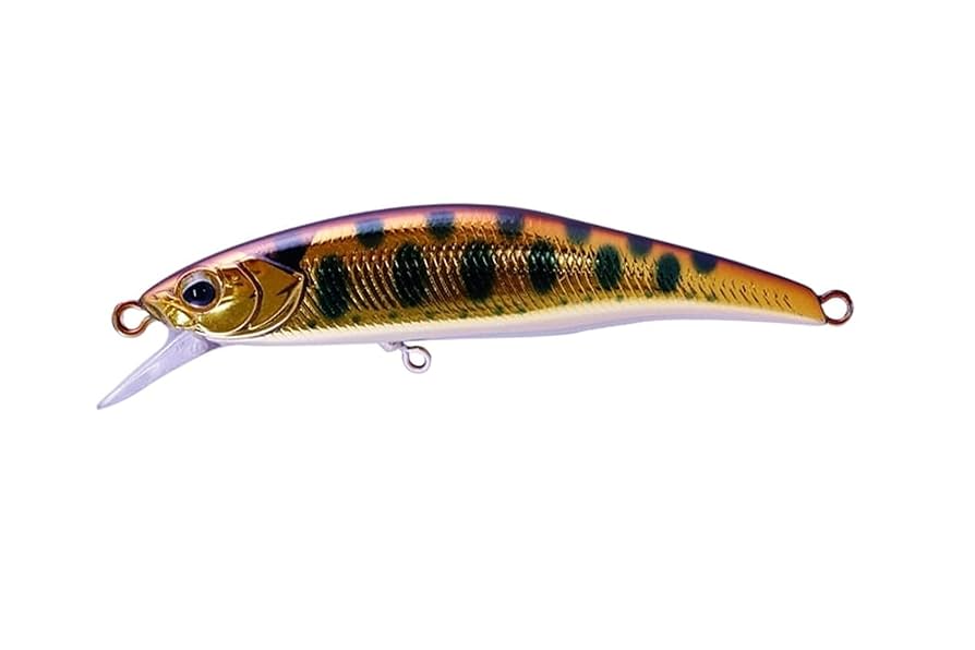 Amazon | JACKALL(ジャッカル) ティモン トリコロール 流芯